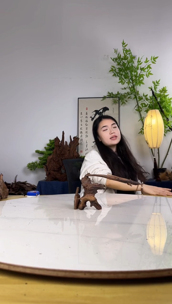 神****®拍沉木定向链接编号25