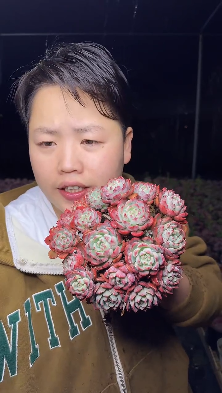 状态娜娜小沟群（挑头多）6.88