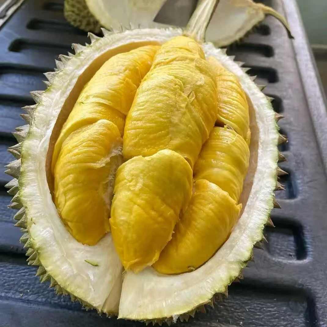 【京津冀次日达】里美AA级新鲜猫山王 泰国空运树熟猫山王榴莲 软糯香甜 干包黄肉【3-7斤】核大猫山王泰国东部