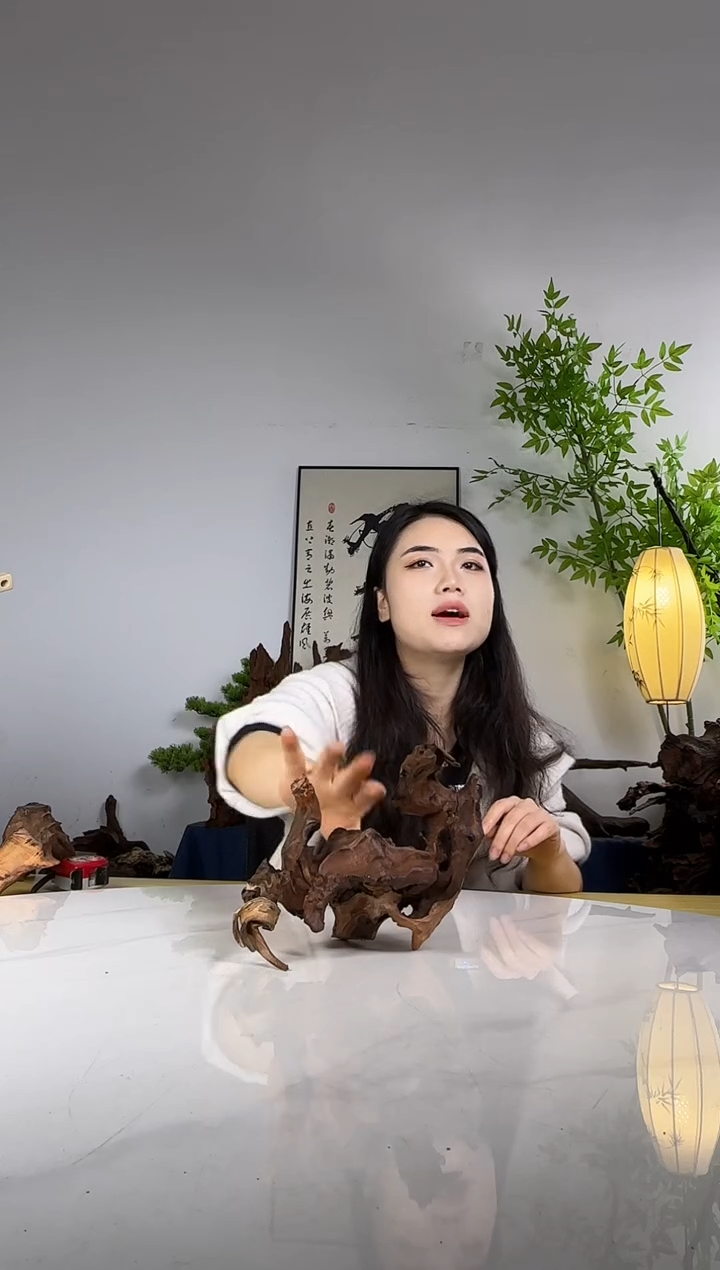 有****乐拍沉木定向链接编号8