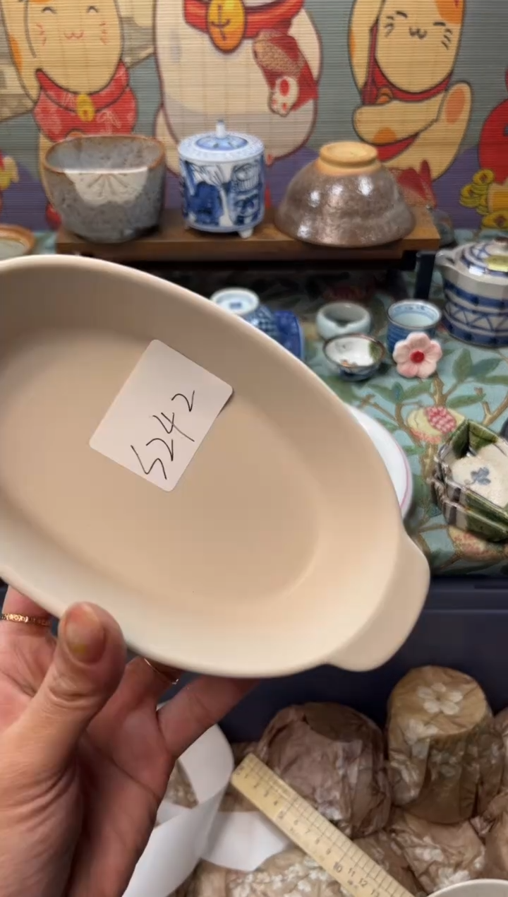 瓷片葵*    S242