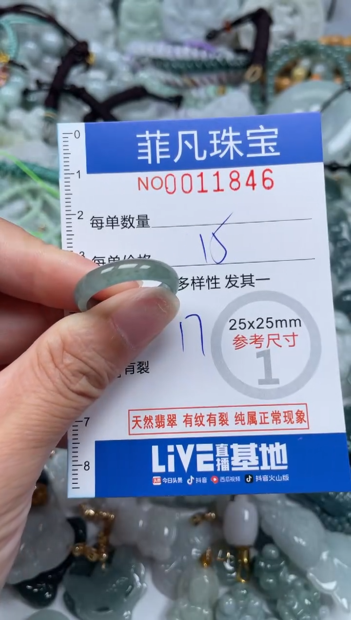 颈饰未镶嵌翡翠11846