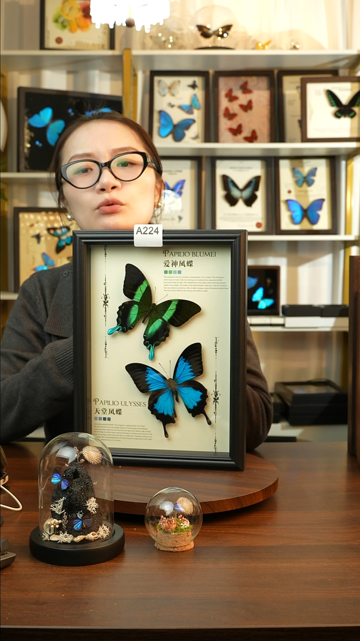 爱神凤蝶天堂凤蝶组合款(A4欧式黑框)A224