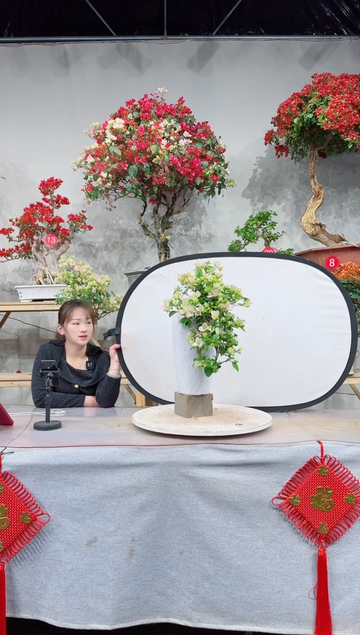 【闪购商品】盆景绿叶樱花