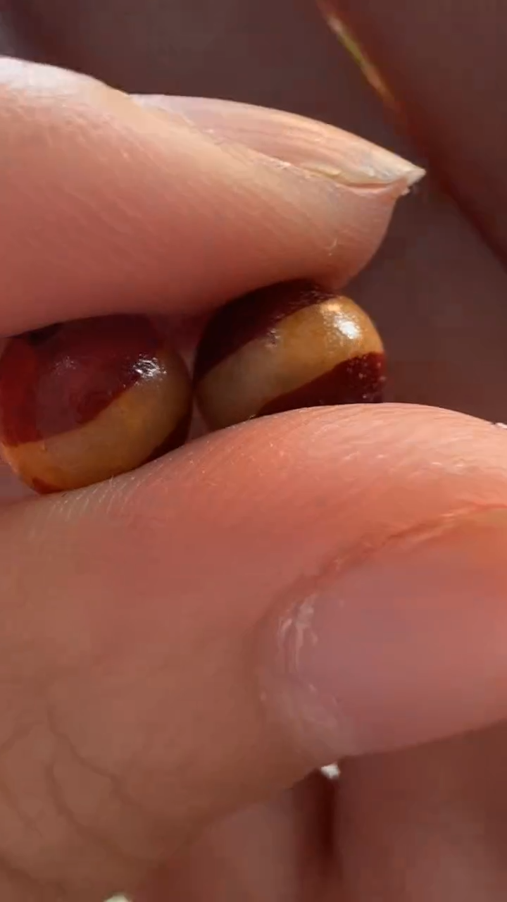 玛瑙/玉髓（覆膜）颈饰未镶嵌72（微瑕随机发货）