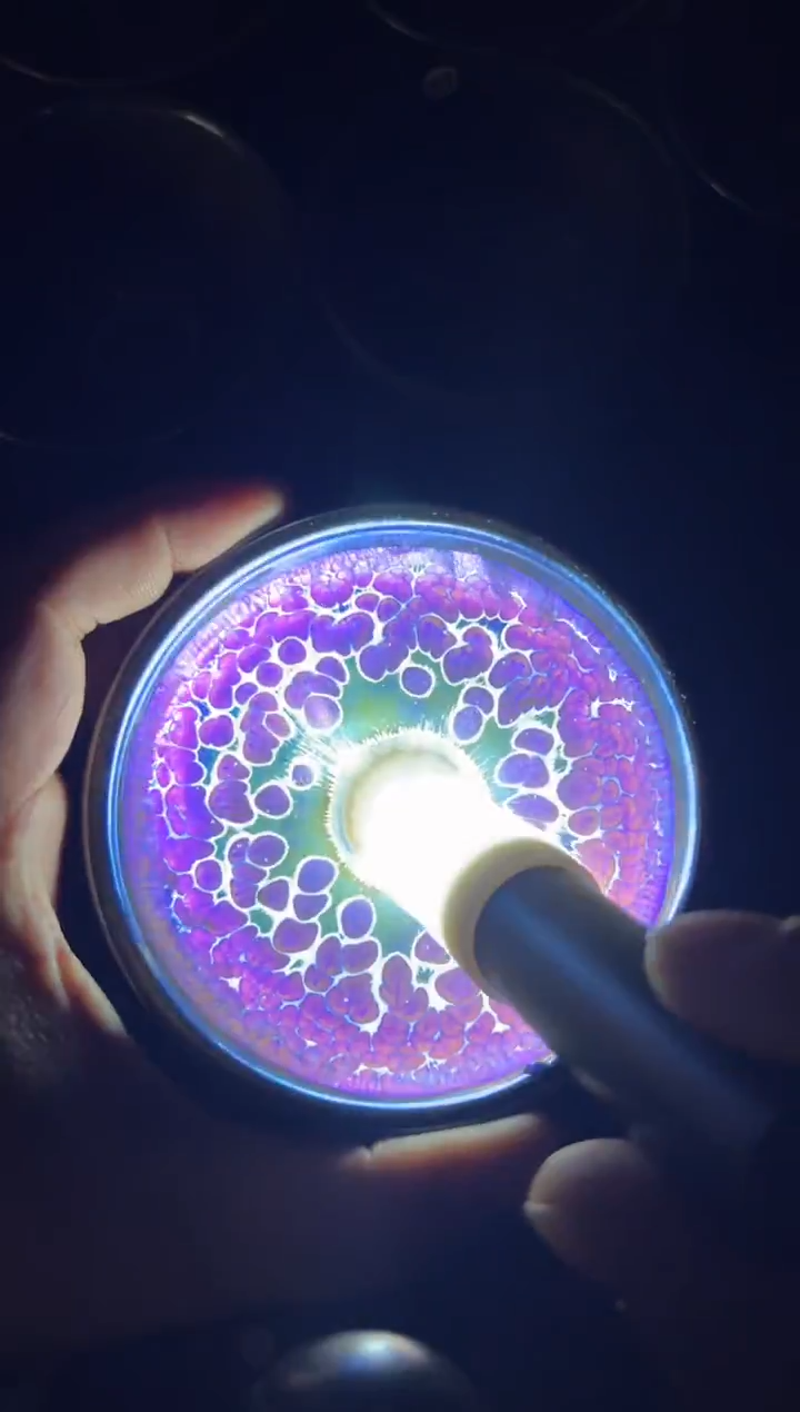 茶盏徐长和老师作品