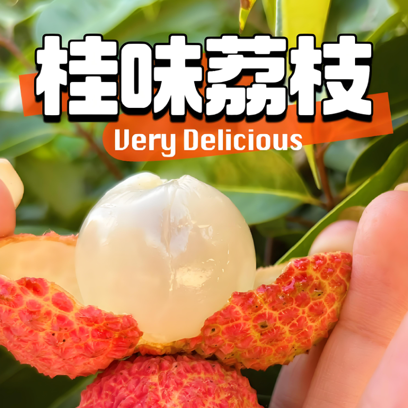 【618特惠冲量】桂味荔枝新鲜上市