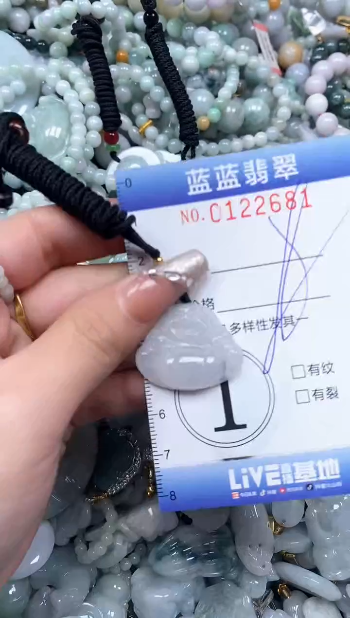 【闪购商品】翡翠颈饰未镶嵌闪购0122681