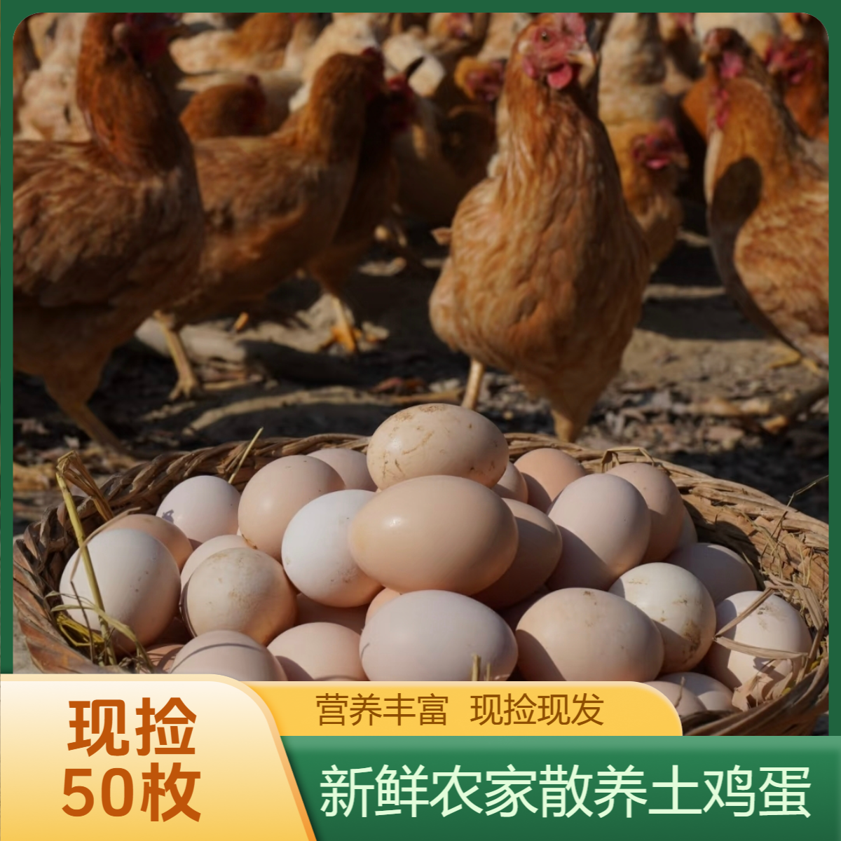 【破损包赔】农家散养新鲜土鸡蛋营养丰富适合学生早餐孕妇