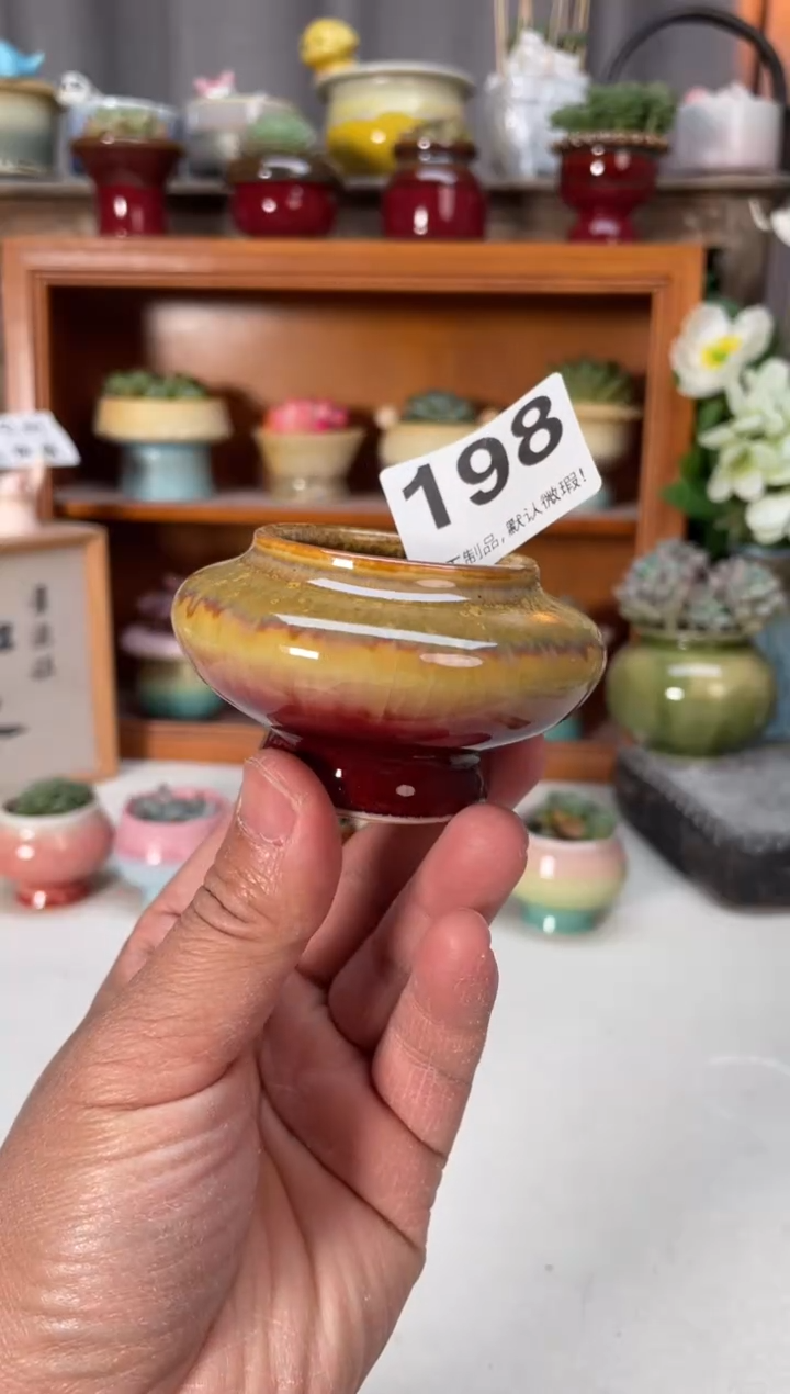 瓷片198小芳直播编号