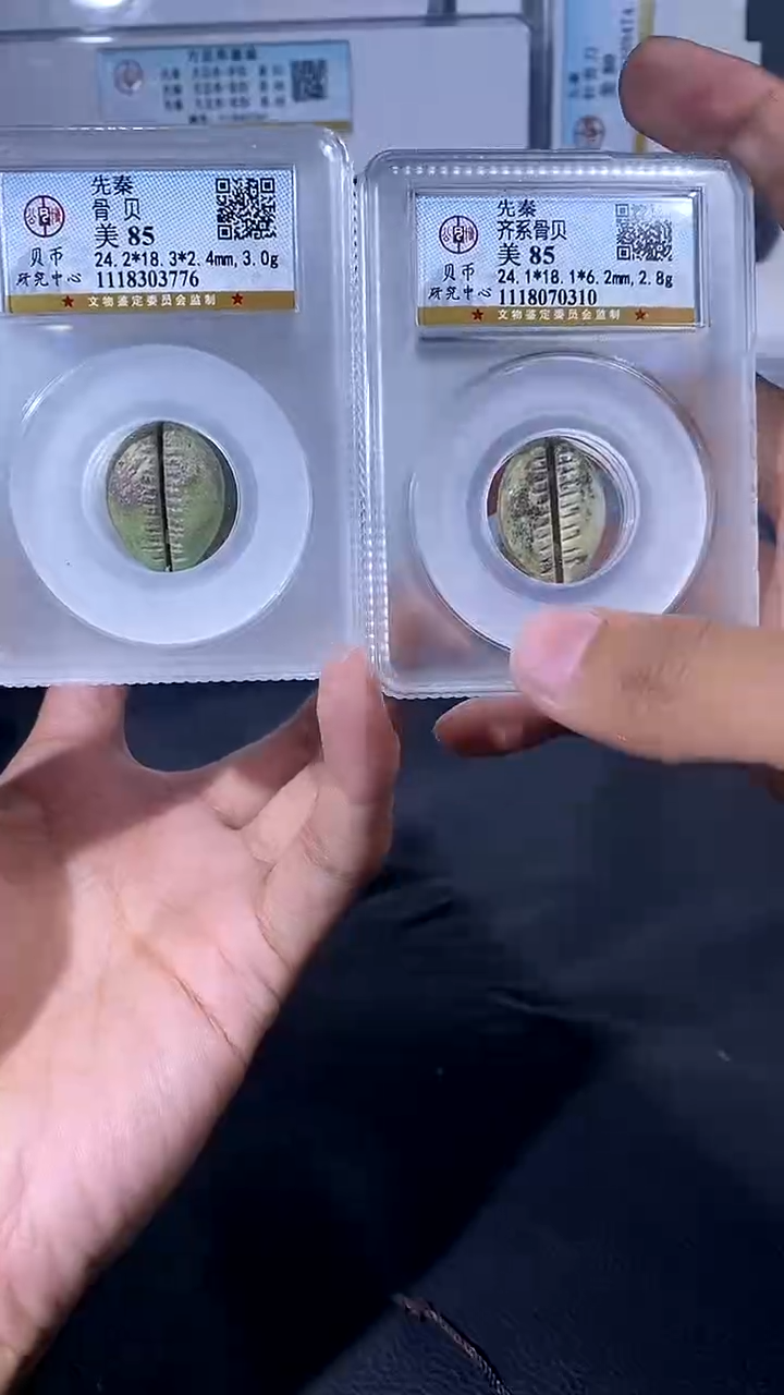 【闪购商品】铜琪珍 骨贝骨贝一枚