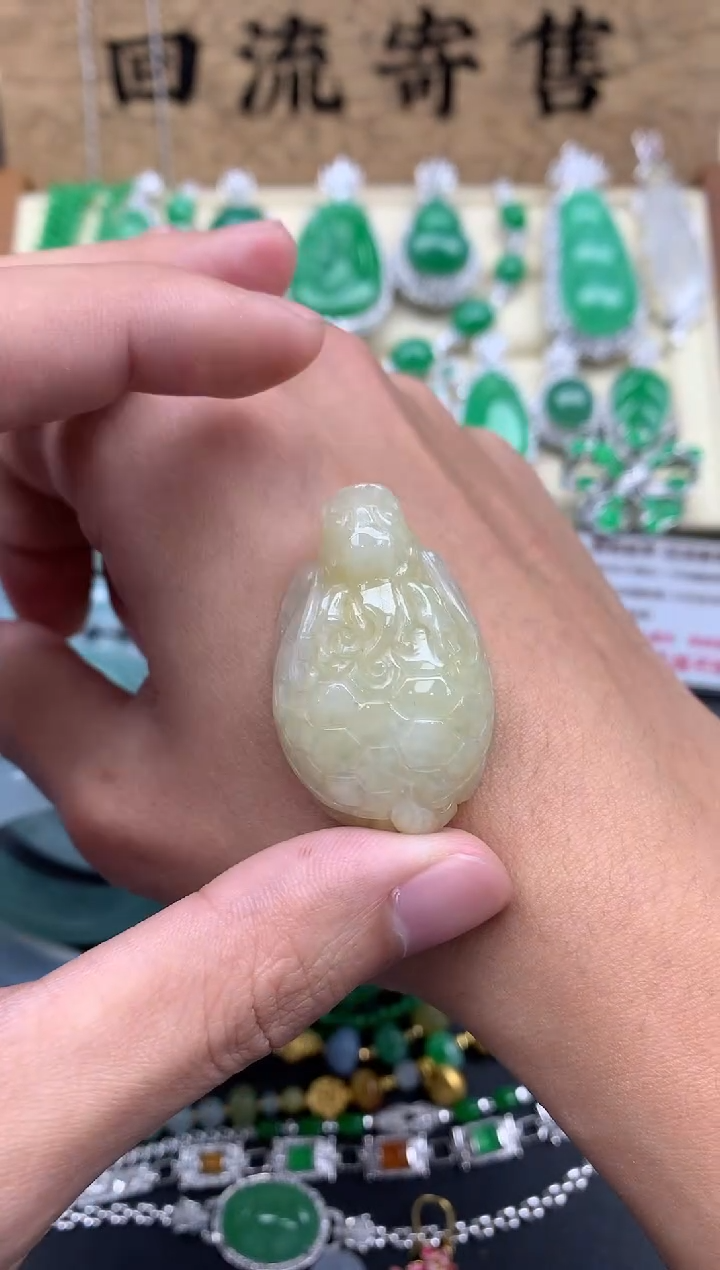 【闪购商品】翡翠颈饰未镶嵌45--中国好珍宝