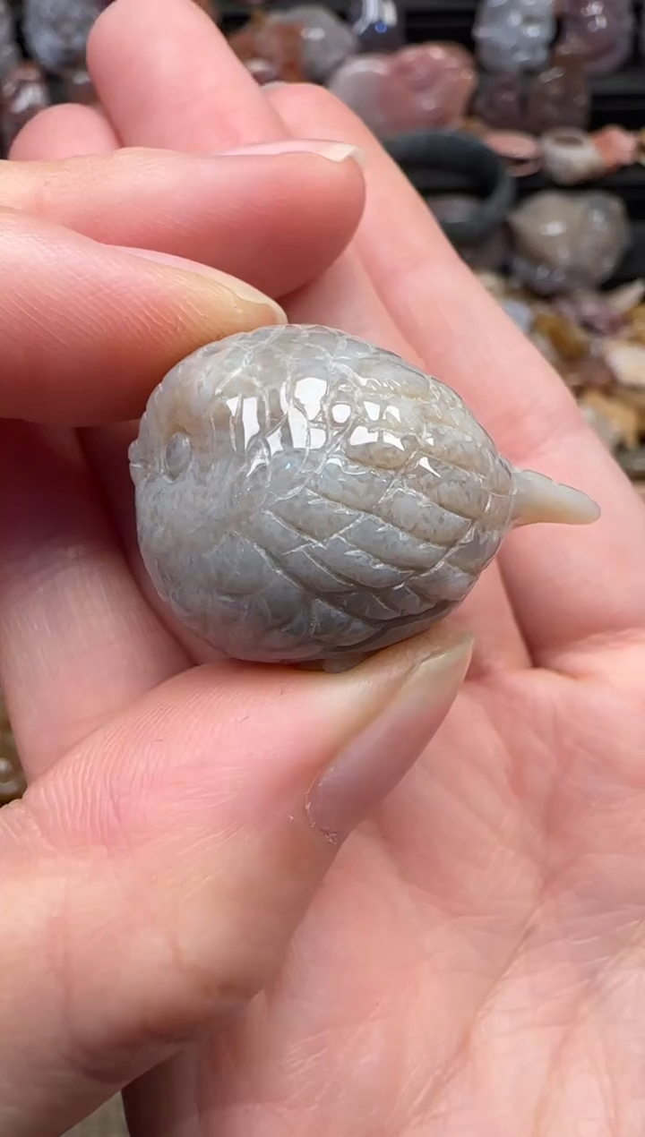 颈饰未镶嵌硅化珊瑚（珊瑚玉）066