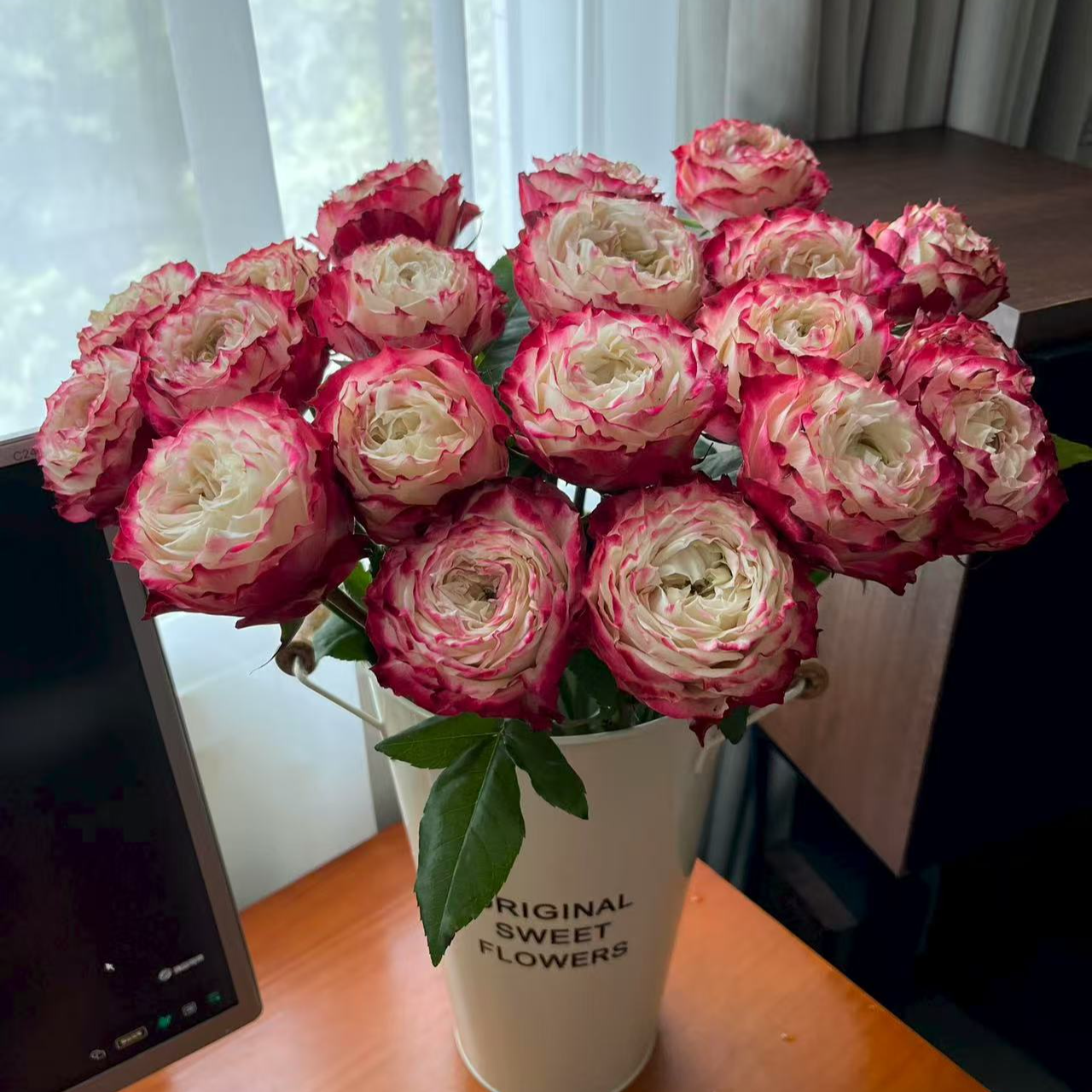  【 苹果杰克 单头玫瑰】两单鲜花顺丰/京东/德邦送货上门