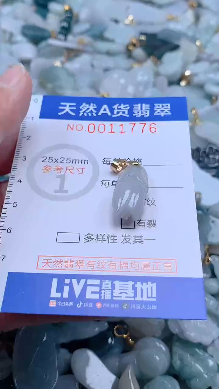 翡翠未镶嵌吊坠(不含链)1