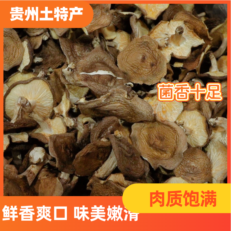 马桑菌贵州榛蘑山珍土特产食用干货农家美食味美汤鲜煲汤干锅爆炒