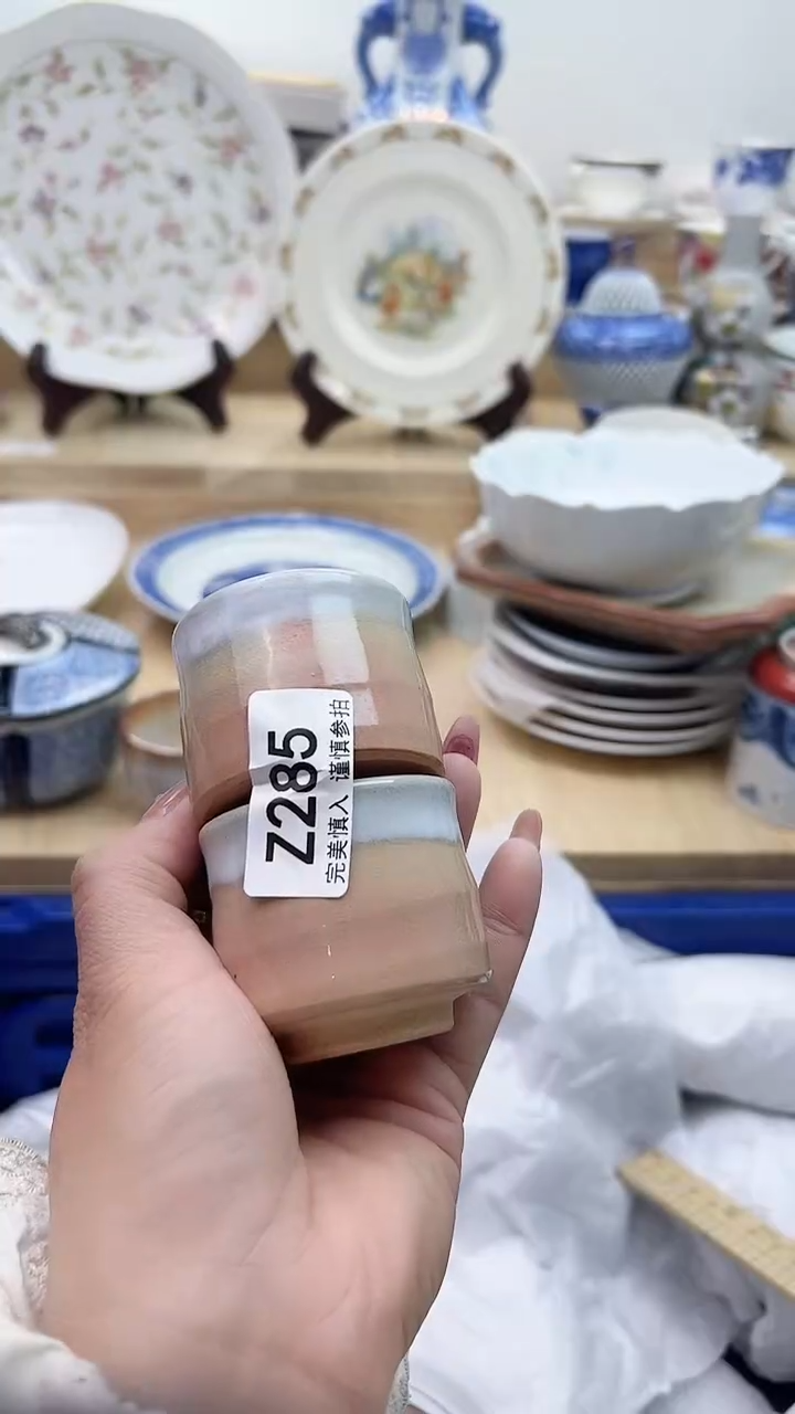 【闪购商品】瓷片285