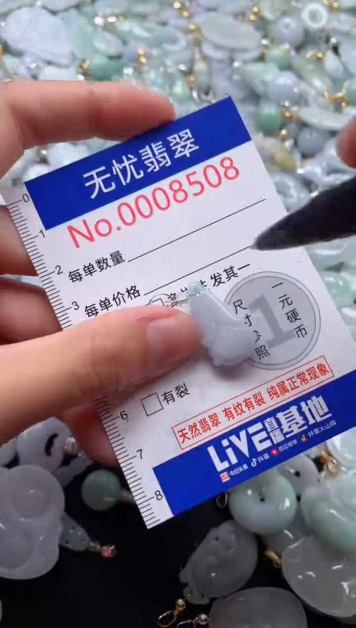 颈饰未镶嵌翡翠8508