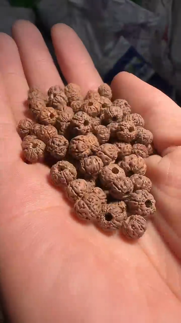 金刚菩提手串非全品纯血老树王散籽7-8mm一份一百颗+