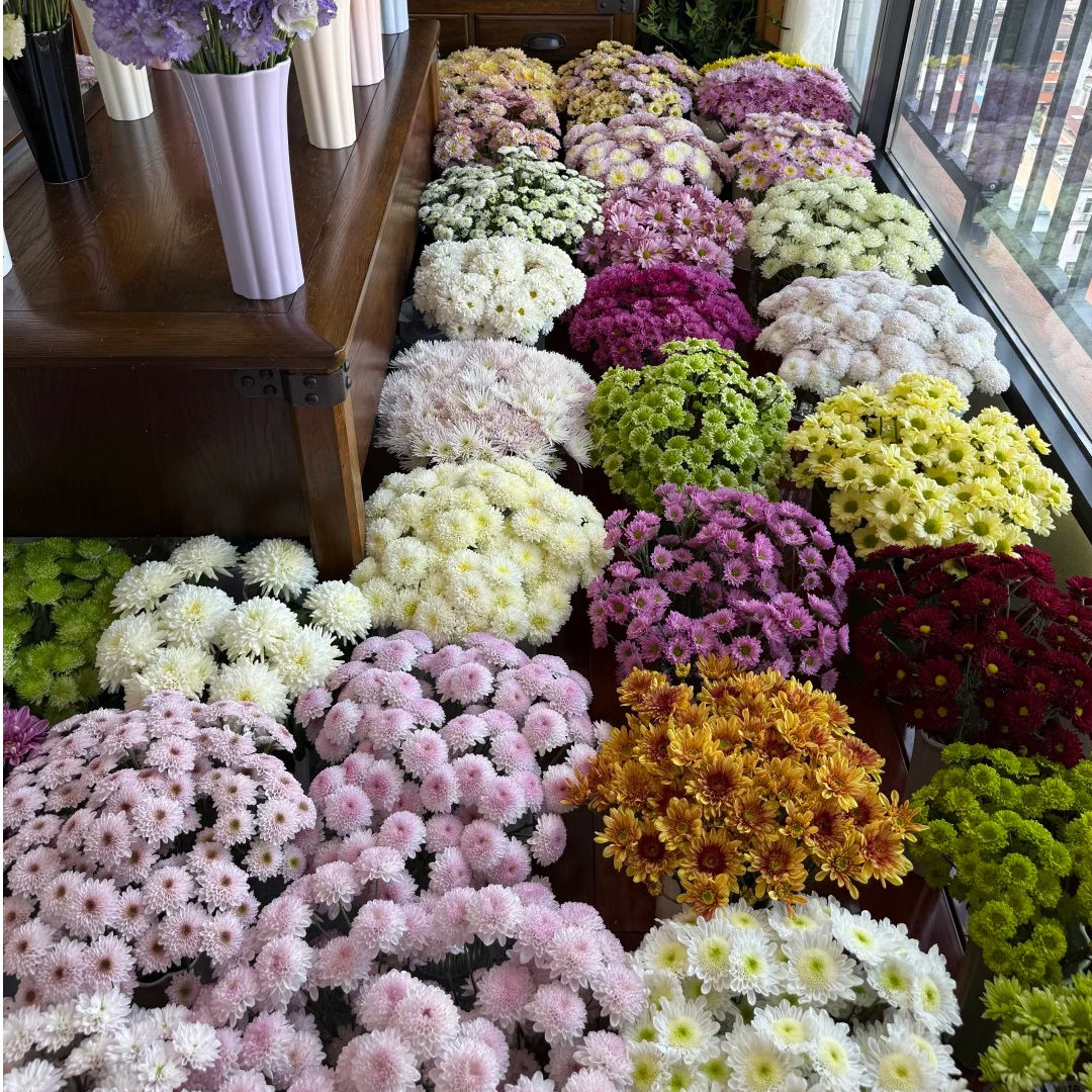 【混色小雏菊】云南鲜花基地直发可用于客厅装饰