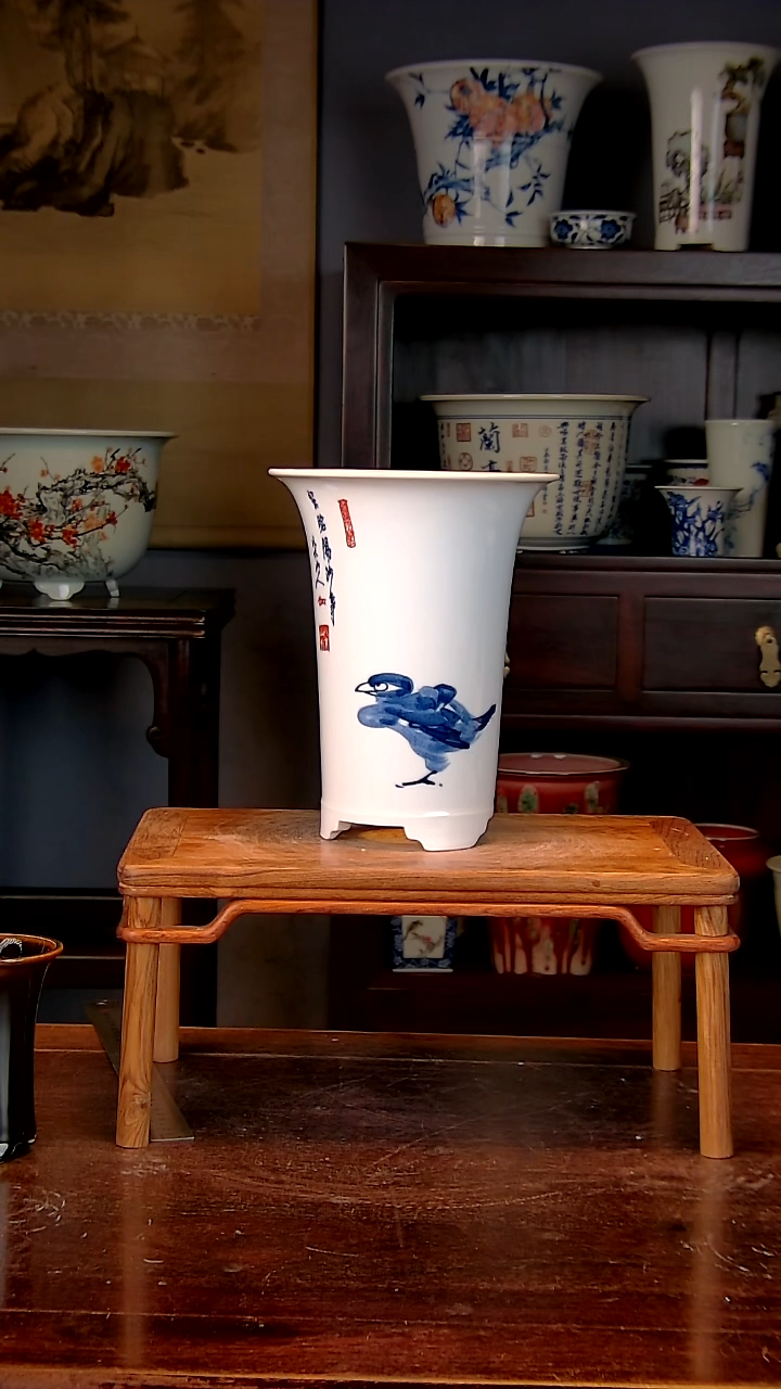 【闪购商品】红陶1