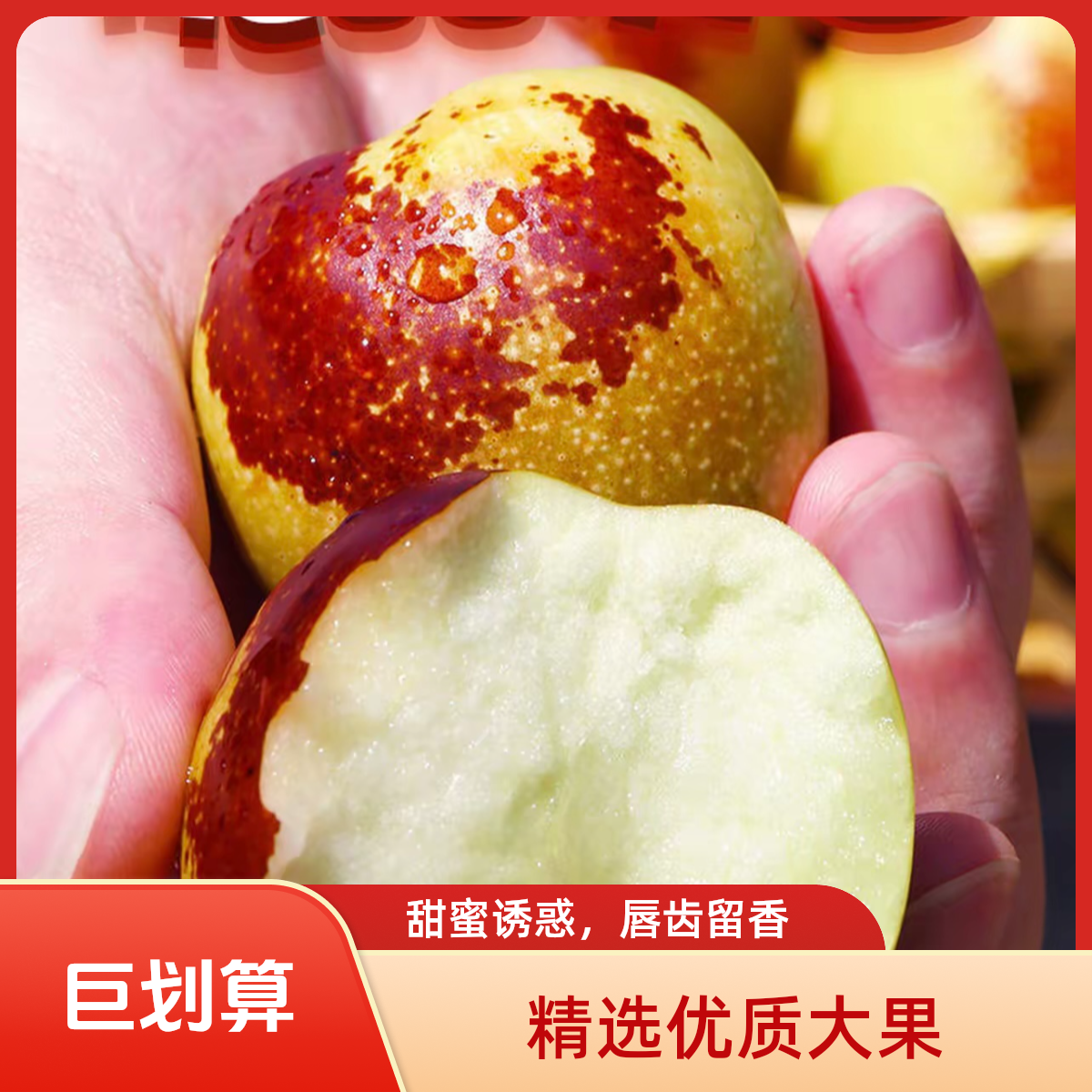 【精选果品】山东沾化冬枣产地直发当季新鲜水果果园现摘脆甜多汁