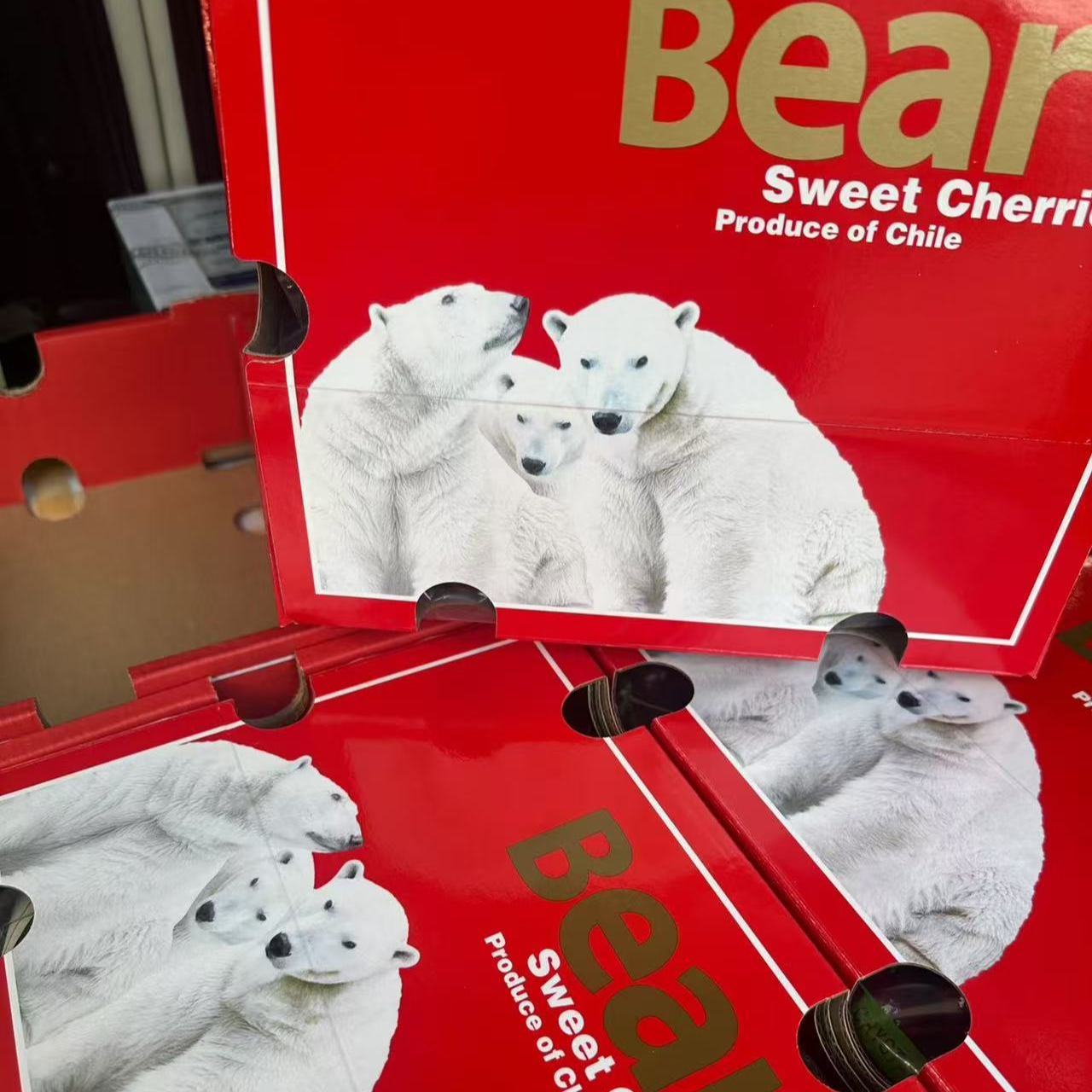 冰熊海运智利车厘子3J桑提娜又脆又甜 内附果径卡