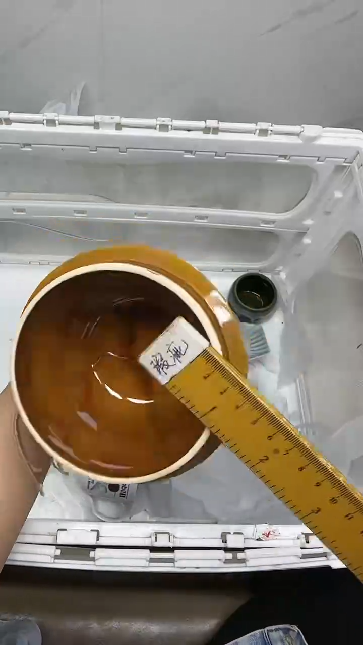 【闪购商品】5491回流瓷器默认微瑕，18.8包邮