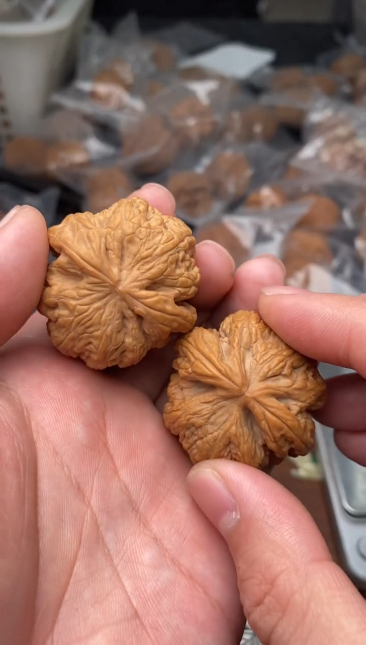 【闪购商品】文玩核桃把件G94号37尺粗筋