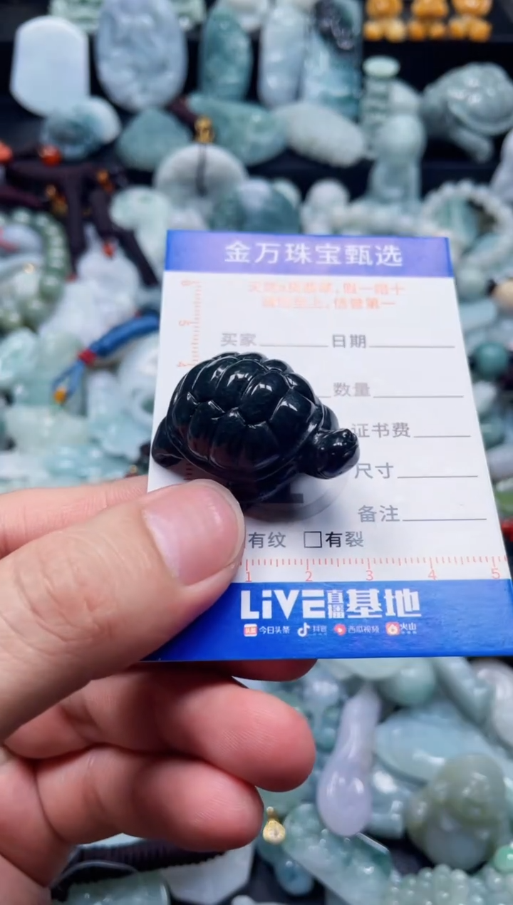 翡翠未镶嵌颈饰天然翡翠a货