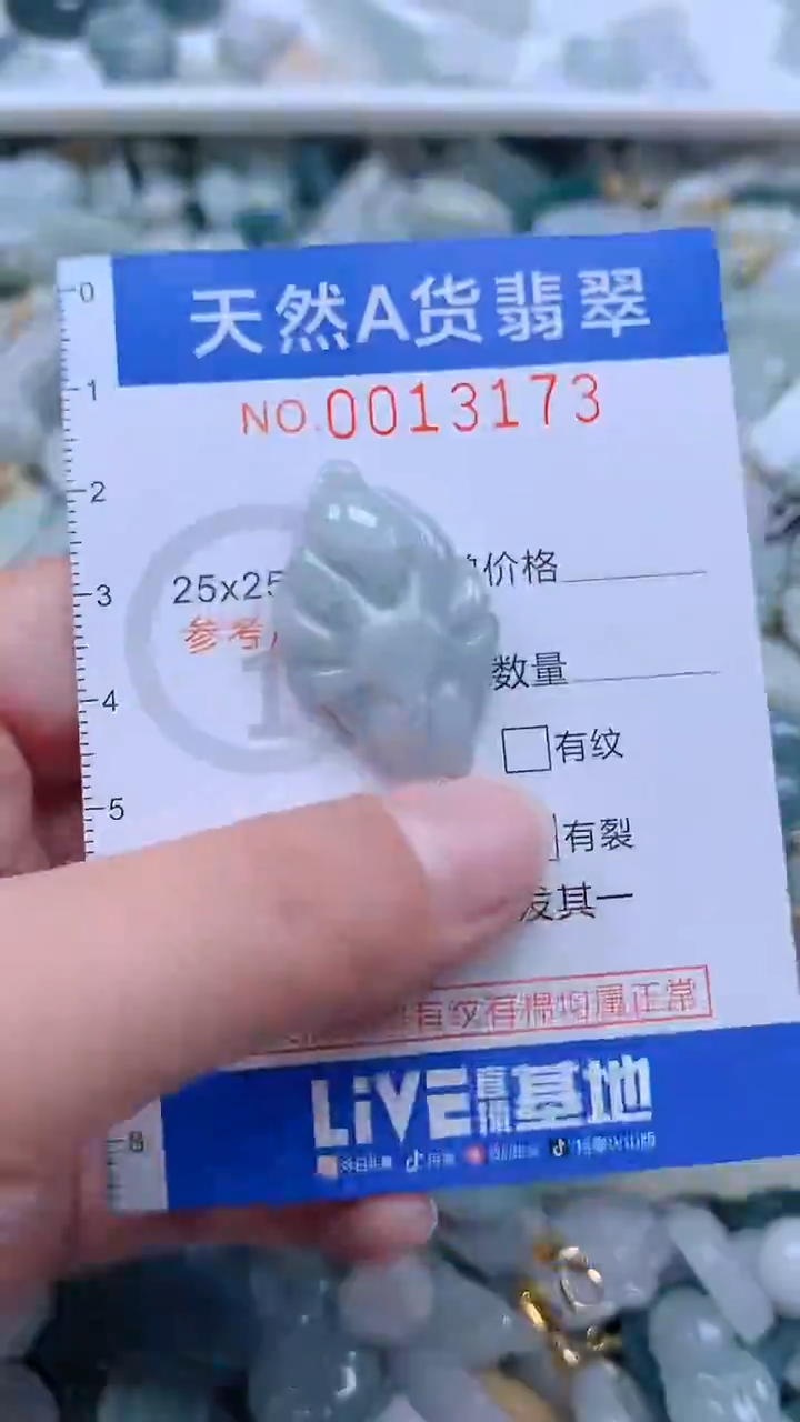 翡翠未镶嵌吊坠(不含链)1