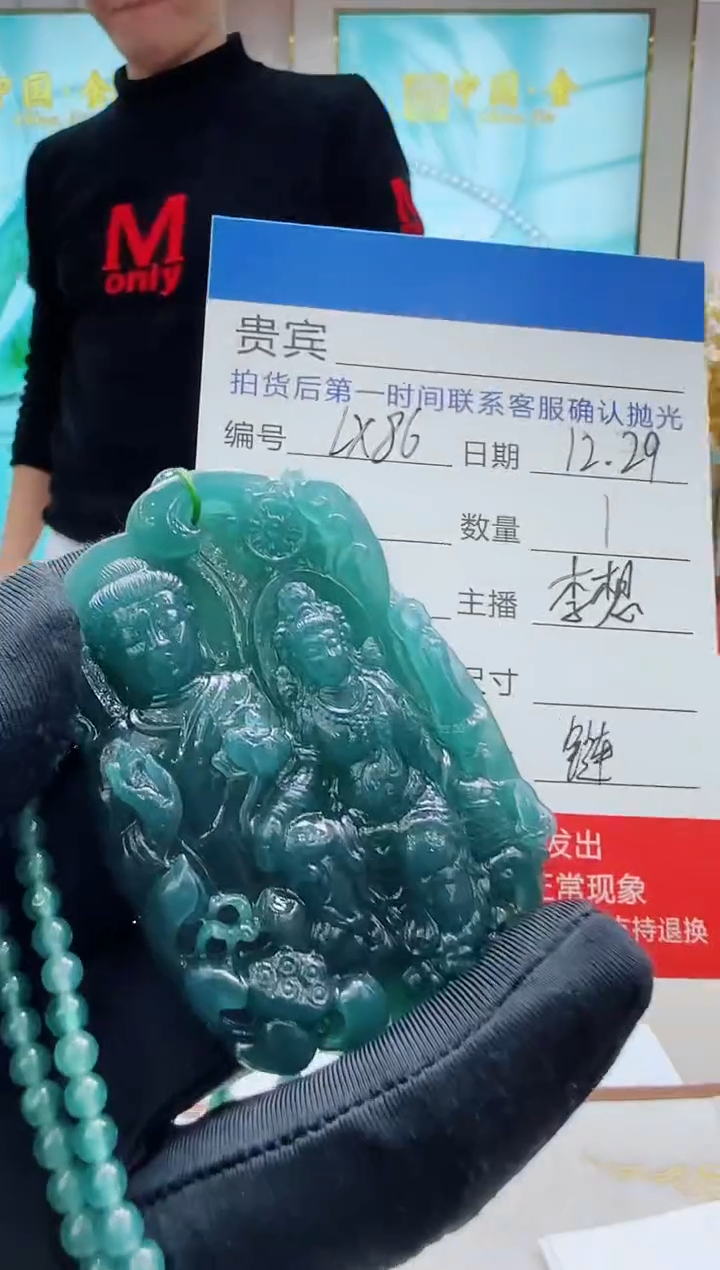 未镶嵌定制翡翠LX86翡翠吊坠赠珠链-多样性发其一