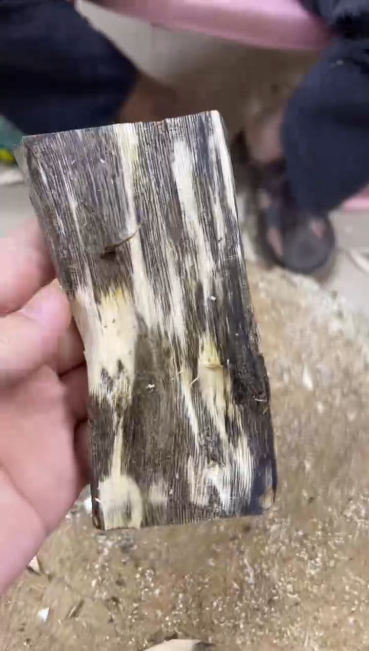 【闪购商品】沉香木沉香碎屑棋楠沉香 原料文创1