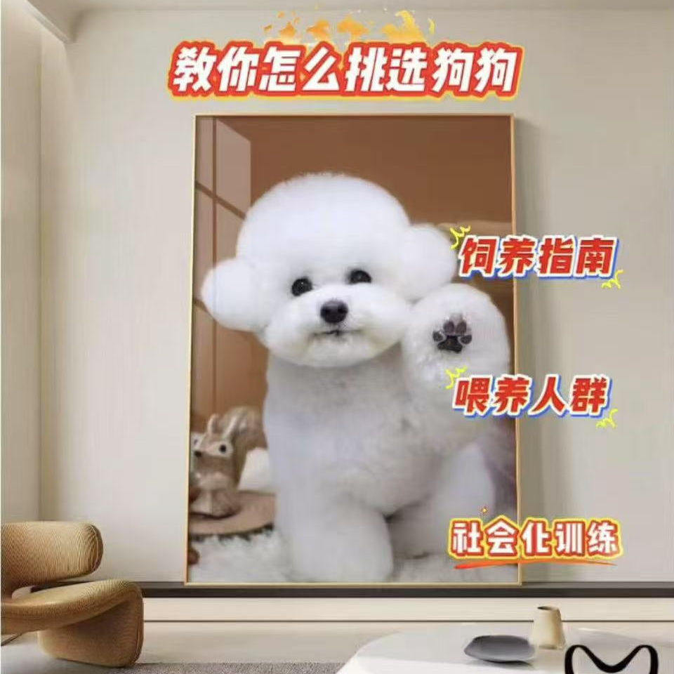 教你怎么挑选狗狗和饲养