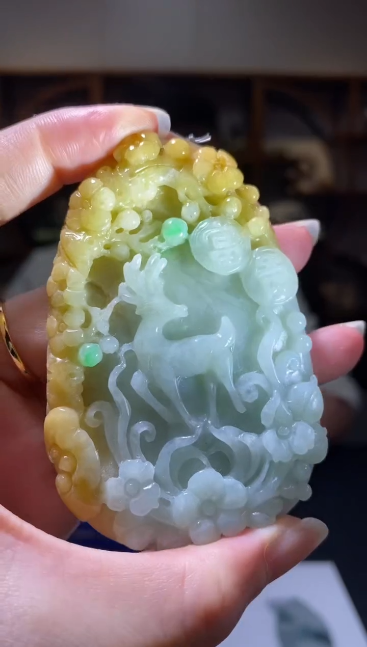 【闪购商品】翡翠颈饰未镶嵌B-@@ZYCC0124084