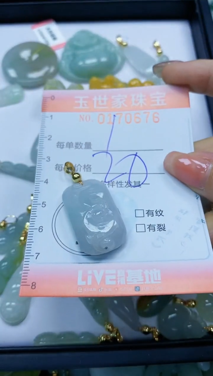 【闪购商品】翡翠颈饰未镶嵌闪购0170676