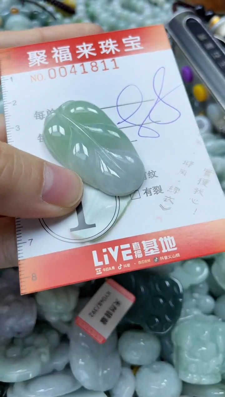 【闪购商品】翡翠颈饰未镶嵌闪购0041811