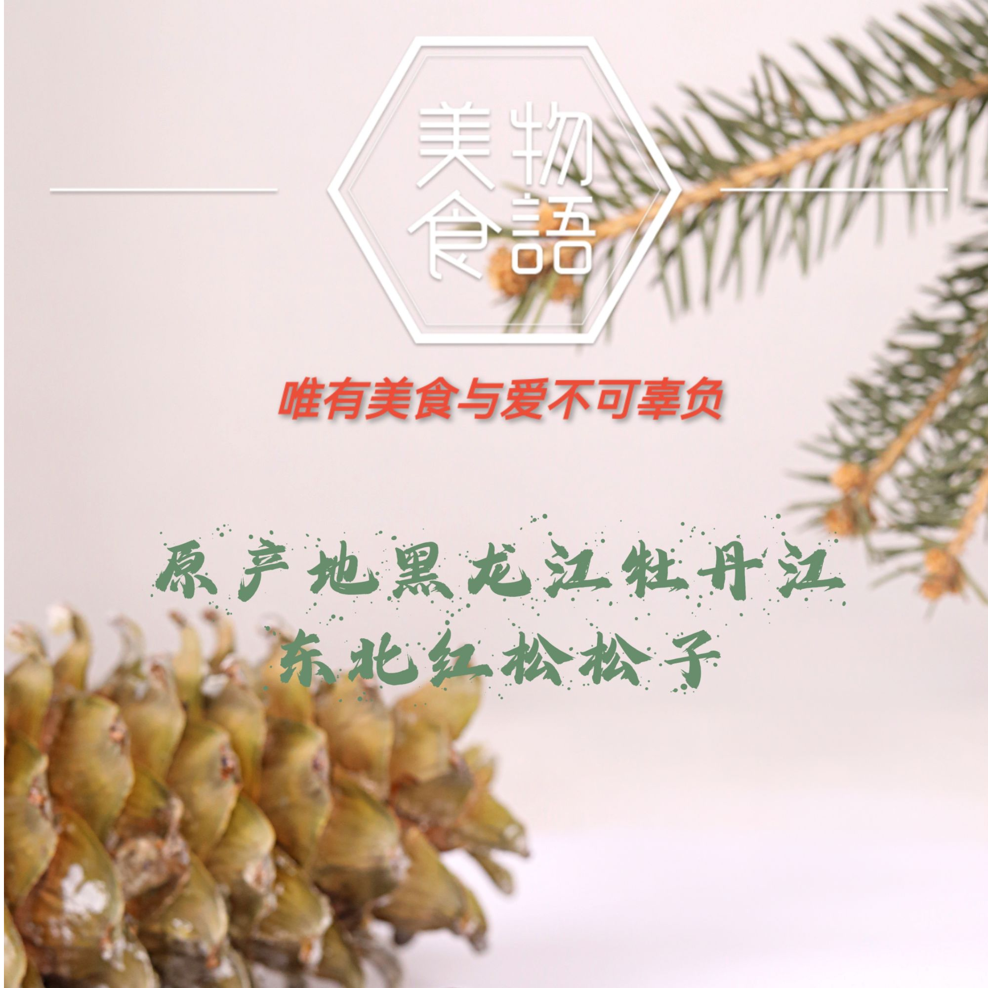 新货950中大颗粒东北原味开口笨炒开口大颗粒松子休闲零食