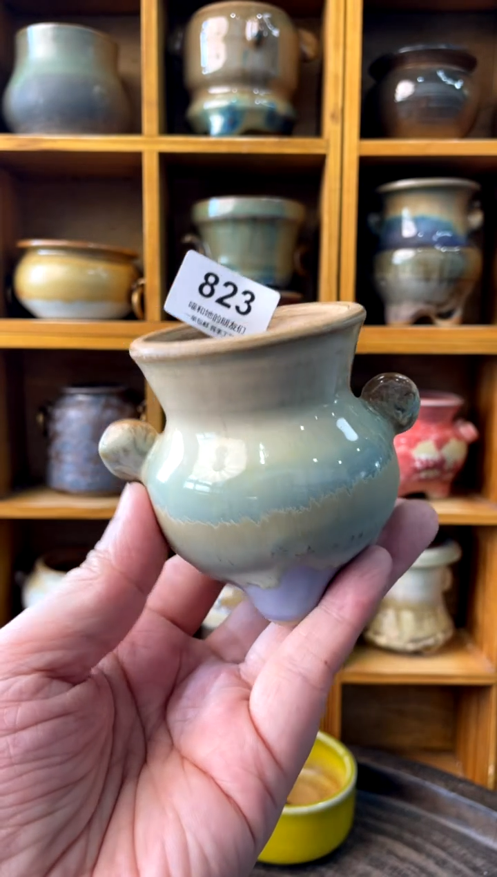 823【多肉花盆多肉盆】