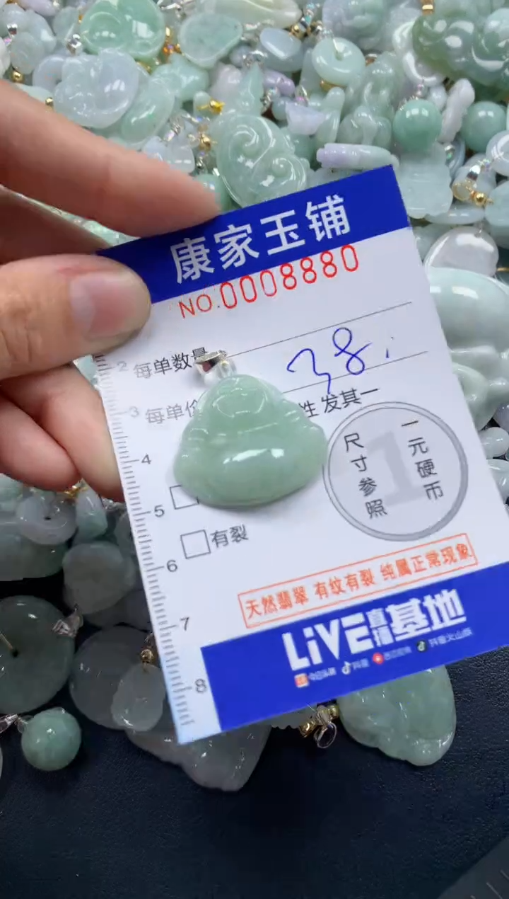 颈饰未镶嵌翡翠8880