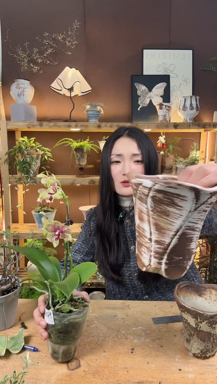 无花朵编号   298 景德镇手工手绘花盆 