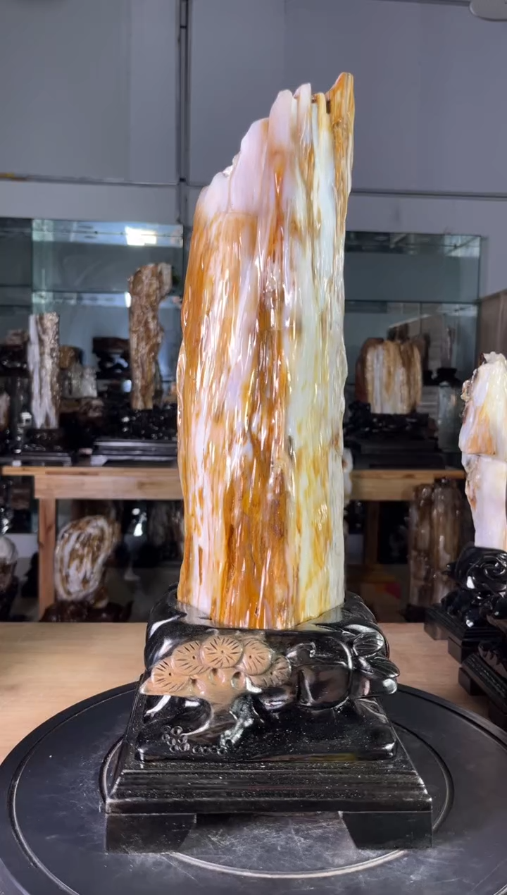 【闪购商品】硅化玉珠宝奇石未镶嵌1