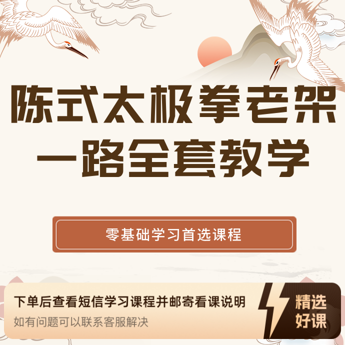 陈式太极拳老架一路精讲视频课