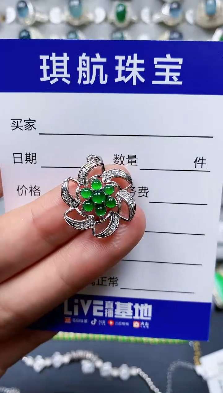 【闪购商品】翡翠颈饰银S925镶嵌0280