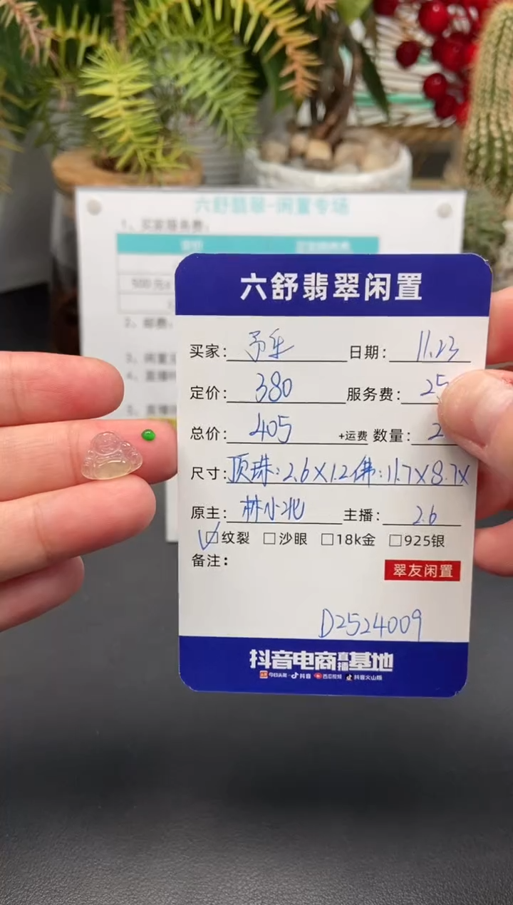 颈饰未镶嵌翡翠予****ıD2524009