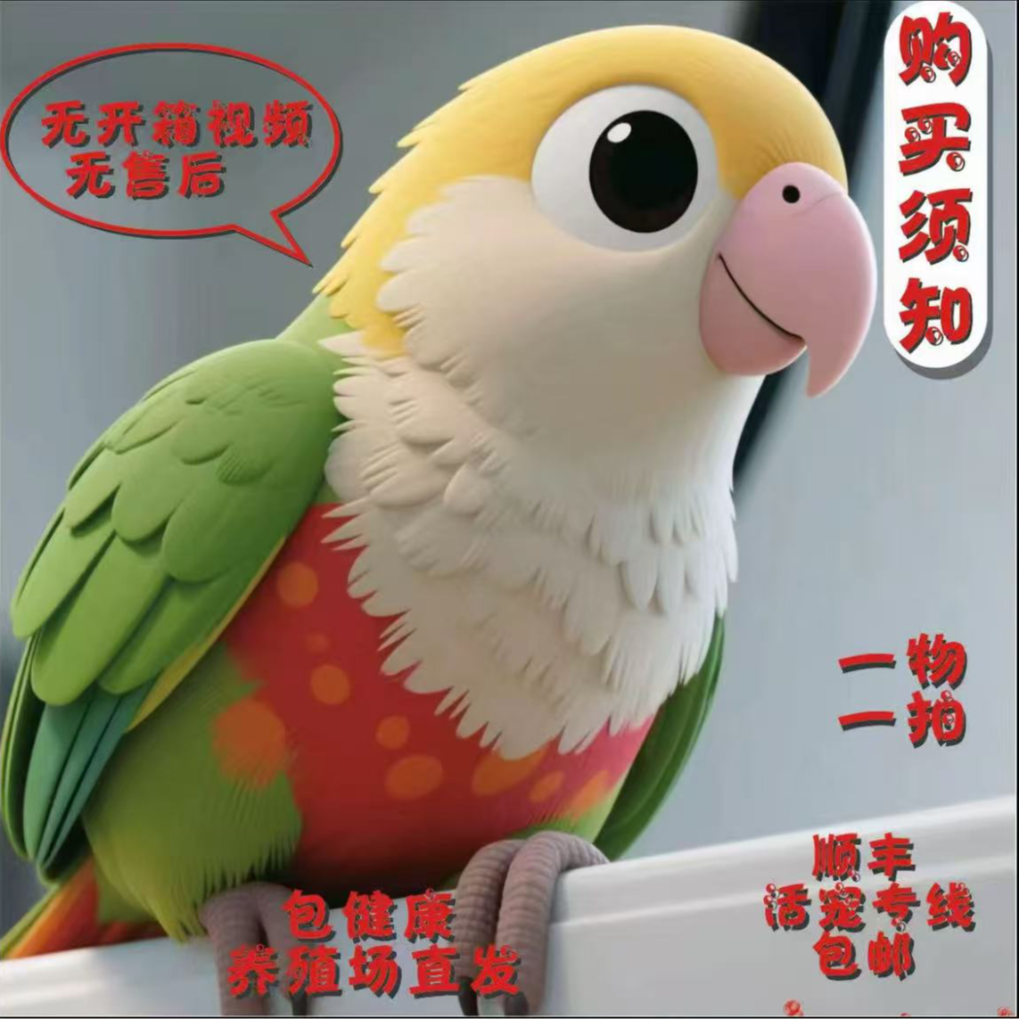手养活体鹦鹉雏鸟亲人学技能【一物一拍】【京东包邮】A 高趴-