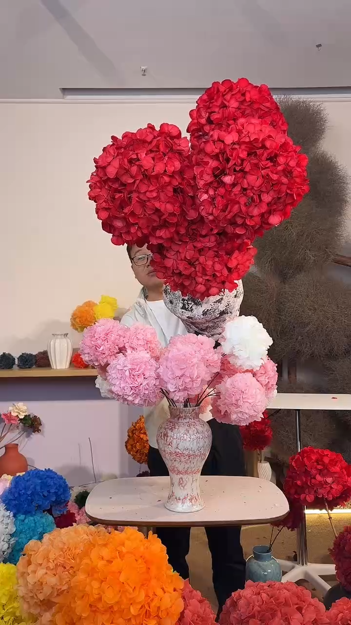 吸色永生大叶绣球5枝 红