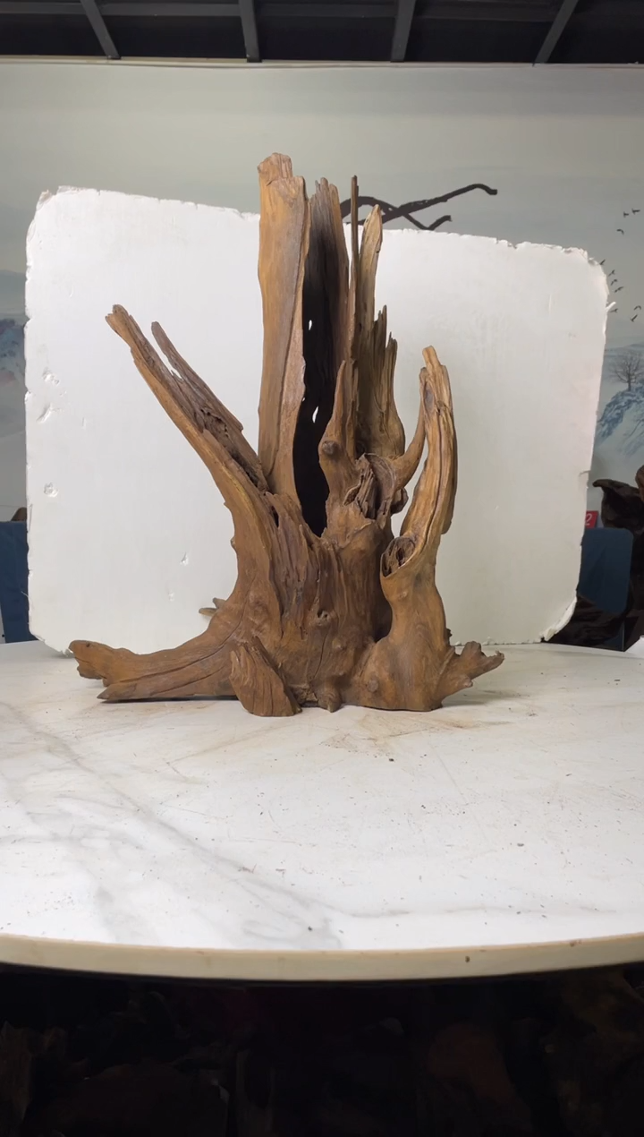 【闪购商品】a963木光沉木木光沉木