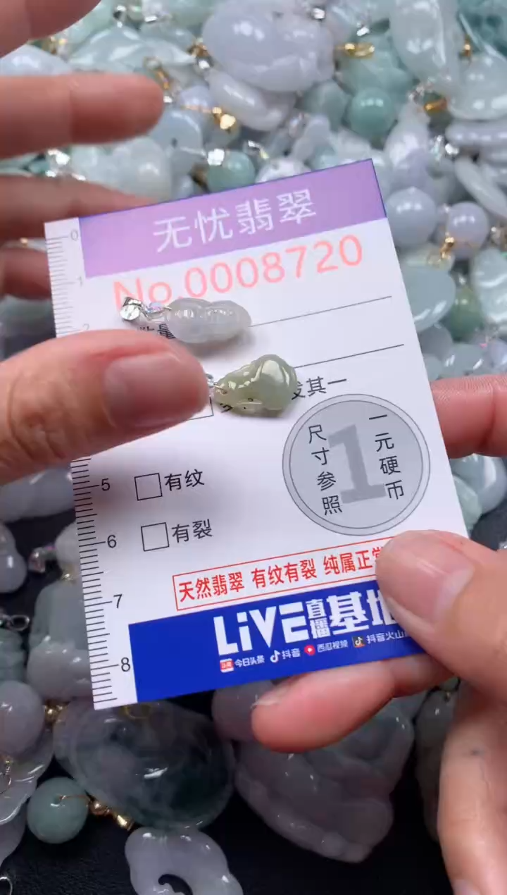 颈饰未镶嵌翡翠8720