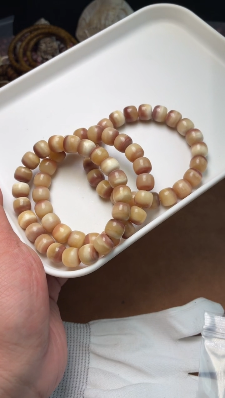 驼骨其他驼骨A568-血奶盖